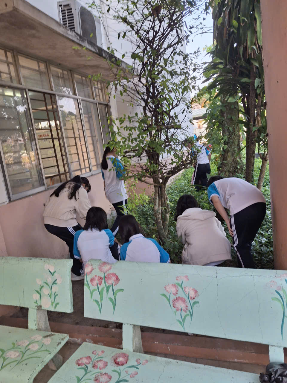 z7369518691373 be2ab9d34a9be35885613859059f14ae