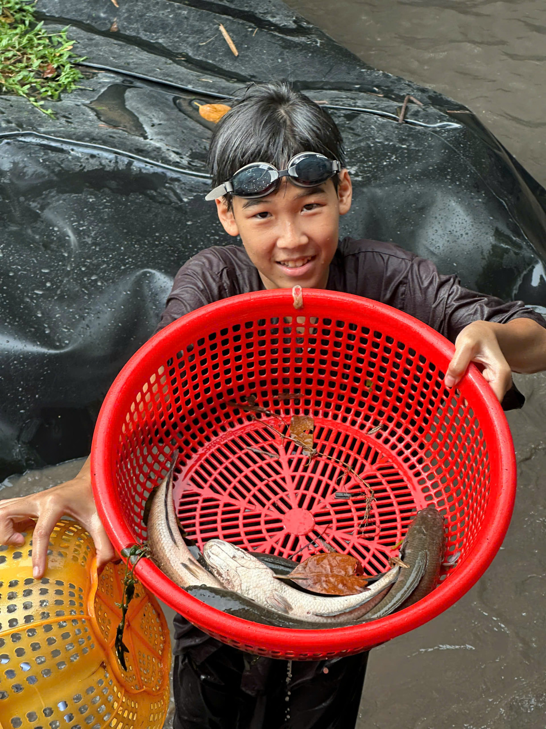 z7420169712810 9188fbc579fb30a5f2045a3e031e9892