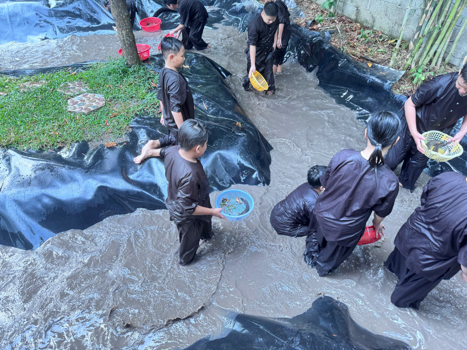 z7420269656132 ee6c8a927ae7849ddcedc240bcf3650e