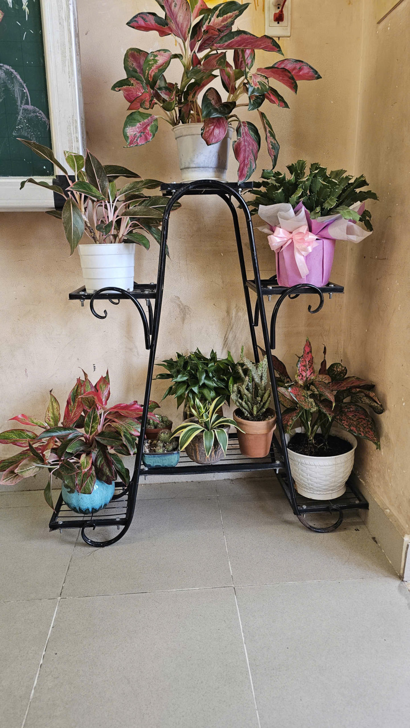 z7459339425486 73eda93520843fc3f0b5aa07134ae75d